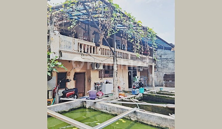 Rumah Kost Di Lelang Sesuai Kondisi Di Srengseng Jakbar Rumah Kost Di Lelang Sesuai Kondisi Di Srengseng Jakbar