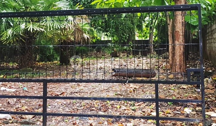 Vacant Land for Auction Sale, SHM, Petukangan, South Jakarta Vacant Land for Auction Sale, SHM, Petukangan, South Jakarta