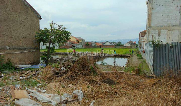 Di jual tanah darat dan tanah ex sawah dlm komplek perumahan dijual di bawah harga njop 2