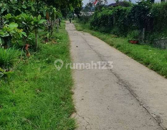 Dijual tanah kebun , kontur datar , pinggir jalan 1