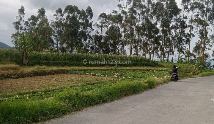 Dijual tanah pinggir jalan ciwidey cocok untuk vila kebun 1