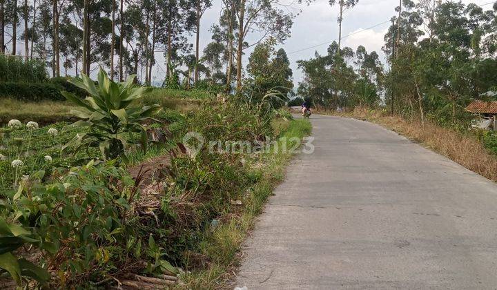 Dijual tanah pinggir jalan ciwidey cocok untuk vila kebun 2