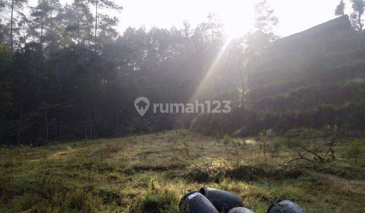 Dijual tanah kebun dan vila cibodas lembang 1