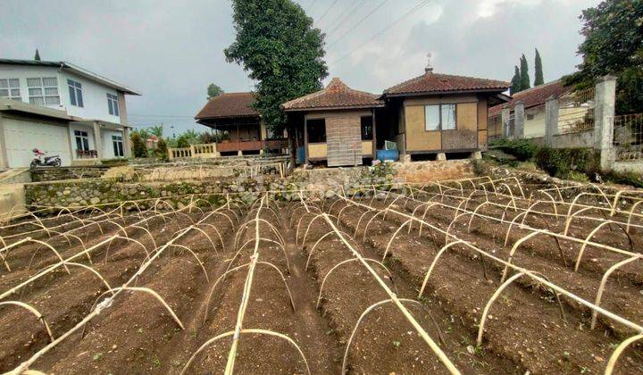 Dijual vila kebun ciwidey , dekat ke kota ciwidey 1