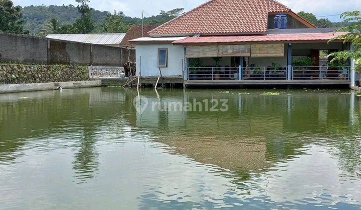 Di Jual Vila Bague Dan Kolam Ikan Luas 1