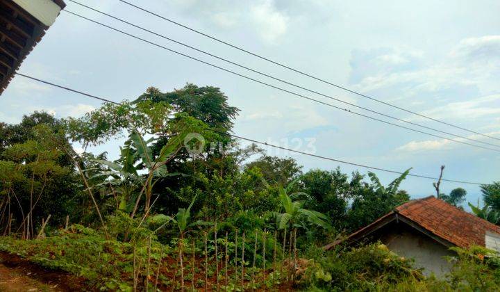 Dijual Rumah Cocok Untuk Vila Dan Kebun 2