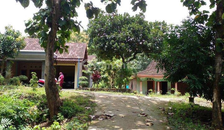 Dijual Tanah Kebun,akses Mobil Dekat Area Industri,dekat Ke Bandara Adisumarmo 2