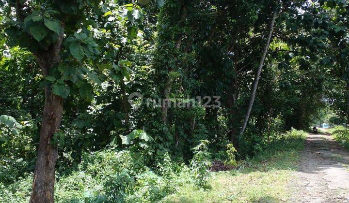 Dijual Tanah Kebun,akses Mobil Dekat Area Industri,dekat Ke Bandara Adisumarmo 1