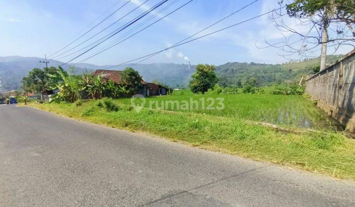 Di jual sawah produktif lokasi poros jalan,akses mudah ,view pegunungan,udara sejuk  1