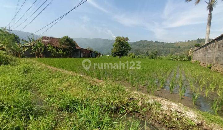 Di jual sawah produktif lokasi poros jalan,akses mudah ,view pegunungan,udara sejuk  2