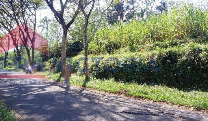  di jual tanah lokasi pegunungan  dekat ke gunung kawi, cocok utk perkebunan, villa ,perumahan , udara sejuk dn view bagus 1