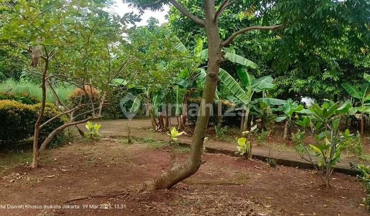 Tanah Pinggir Jalan Raya M Kaffi 1 Jagakarsa Tanah Pinggir Jalan Raya M Kaffi 1 Jagakarsa