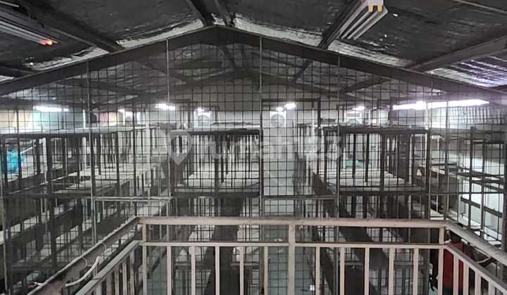 Ana Warehouse Size 9X20m Elang Laut Integrated Center