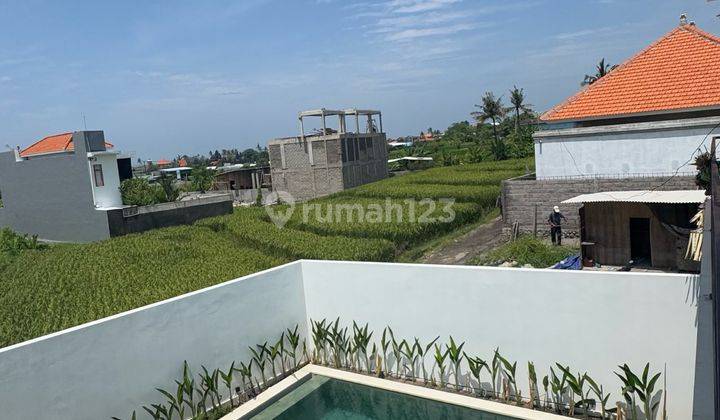  Villa Premium View Sawah Di Pererenan Canggu Direct Owner 2