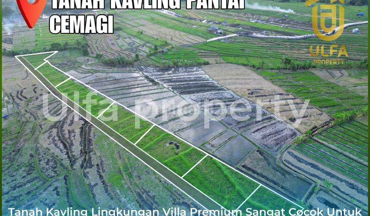 Land Near Canggu and Mengening Beach Direct Owner