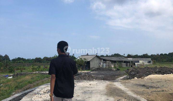 Tanah Dekat Canggu Dan Pantai Mengening Direct Owner 2