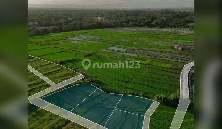 Dijual Tanah Cemagi Dekat Canggu Dan Luna Beach Club  2