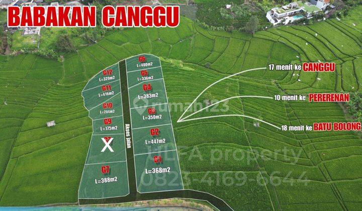 Promo For First 10 Buyers of Babakan Canggu Land Plots 2