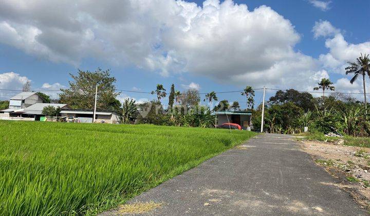 Dijual Tanah Kavling Kerobokan Dekat Stuja Dan Umane Cafe 2