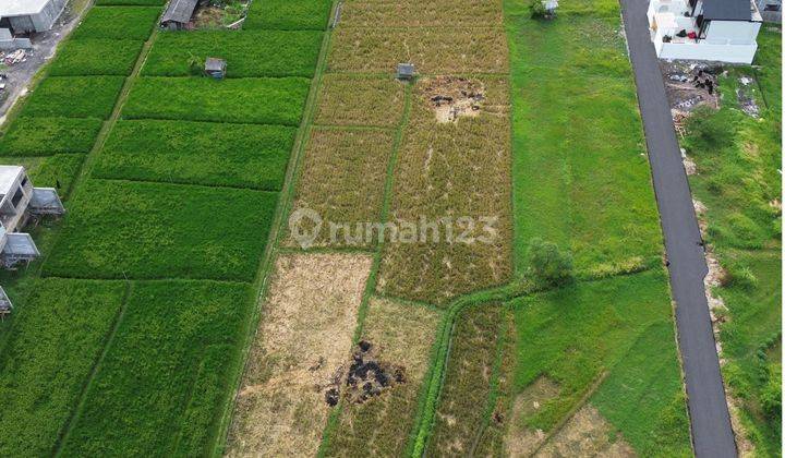 Tanah Umalas Kerobokan Dekat Ke Atlas Dan Pusat Pariwisata Canggu 2