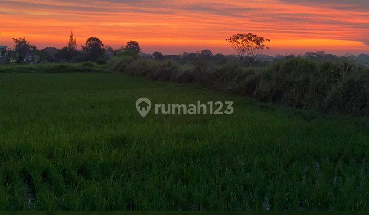 Dijual Tanah Kavling Di Babakan Canggu Pusat Pariwisata Bali 2