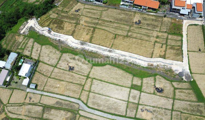 Tanah Kavling Premium Pinggir Jalan Raya Utama Pantai Seseh 1