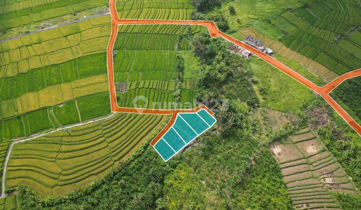 Tanah Dijual Di Pererenan Harga Miring View Sawah Dan Sunset 1