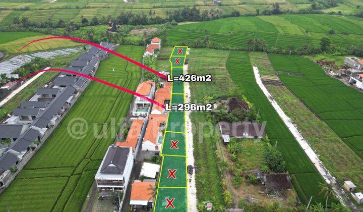 Premium Land For Sale On The Side Of Seseh Highway Near The Beach 1