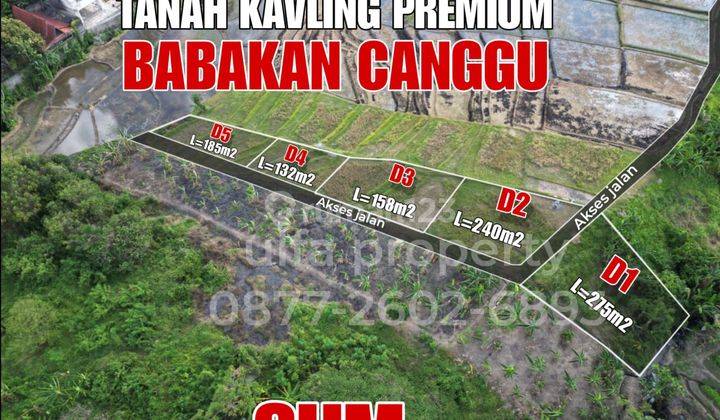 Tanah Premium Villa Di Pusat Pariwisata Canggu 2