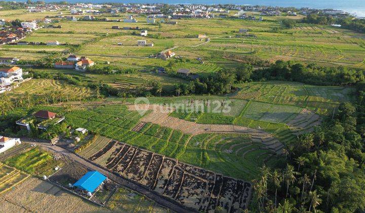 Tanah Kavling Cemagi Area Villa View Sawah Dan Sunset  2
