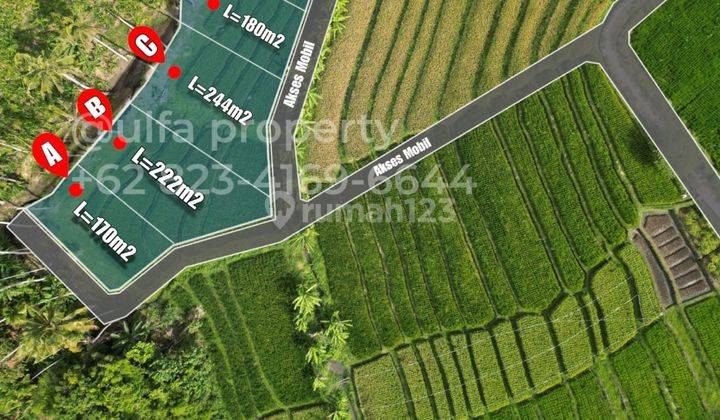 Tanah Dijual Di Pererenan Harga Miring View Sawah Dan Sunset 2