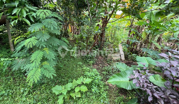 Jual Tanah Dibawah NJOP di Tembalang Cocok untuk Kost-Kostan 2