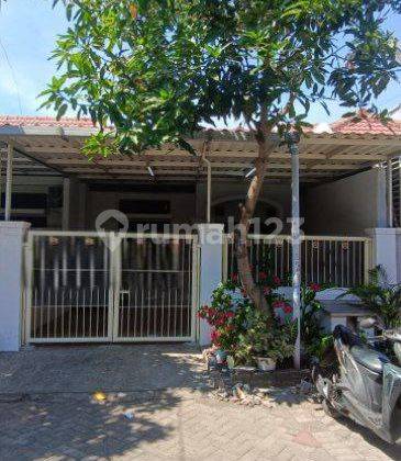 Rumah Dekat Masjid Perumahan Wiguna Gunung Anyar Rungkut Surabaya 1