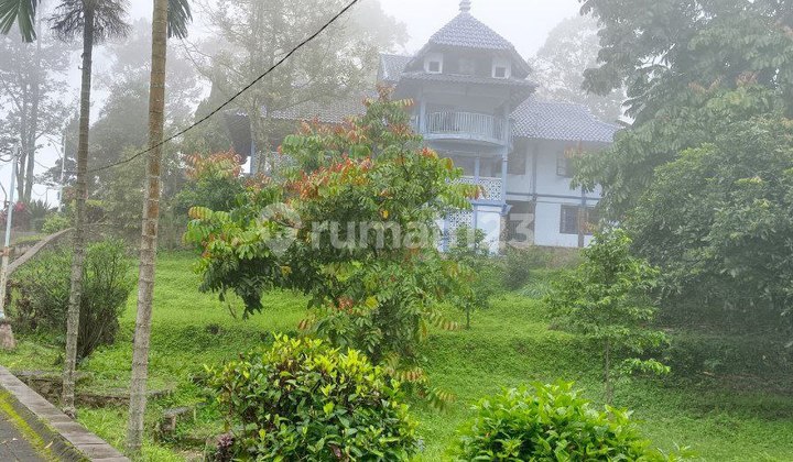 Tanah SHM Murah 2,2 Hektar di Trawas Mojokerto Bonus Villa Tanah SHM Murah 2,2 Hektar di Trawas Mojokerto Bonus Villa