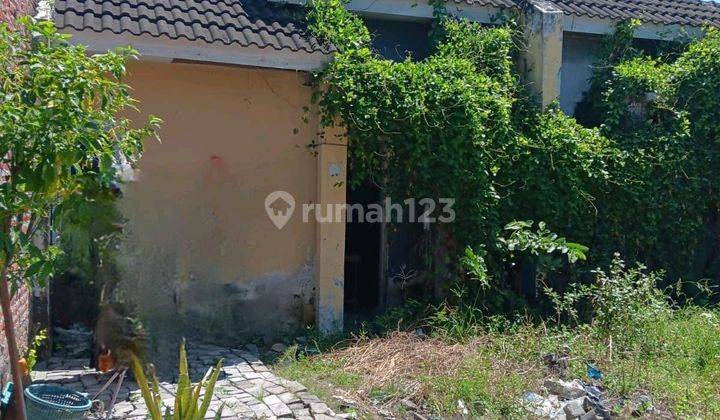 Rumah Shm - Sertifikat Hak Milik Di Wringinanom Sembung, Wringinanom Murah Bawah Pasaran 1