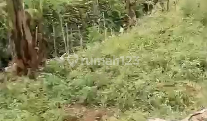 Tanah SHM 32.310 Sqm,Cicurug, Sukabumi