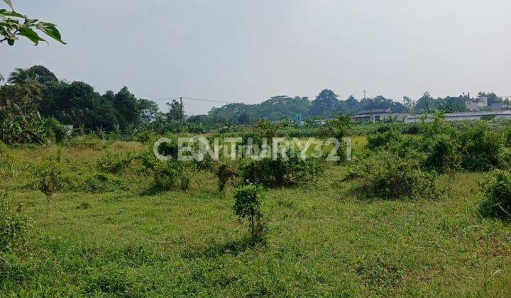 Kavling Jl Permata Ds Curug Kec Gunung Sindur Kab Bogor 1