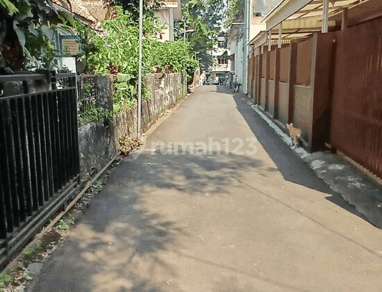 Rumah Di Komp Kehutanan Sukasari Jl Siliwangi Bogor 2