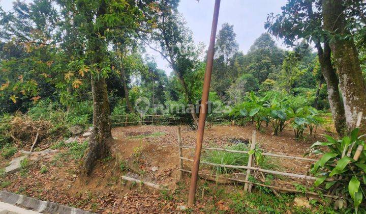 Tanah View Gunung Salak Di Jl Manggis Tajur Halang Bogor 2