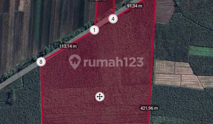 Jual Lahan Jolotundo Jetis Mojokerto 7ha