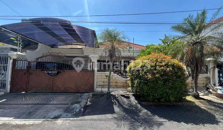 Jual Dharmahusada 12.5x25