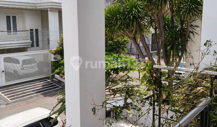 Jual Araya 3lt Termurah