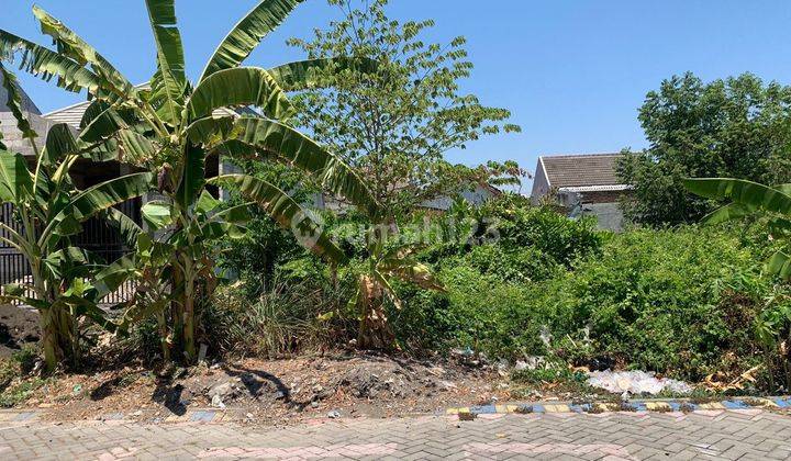 Dijual Tanah Kavling Padat Penduduk Medayu Utara  2