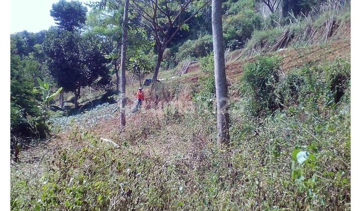 Land Plot LT 2000 m2 SHM Dago, Bandung Land Plot LT 2000 m2 SHM Dago, Bandung