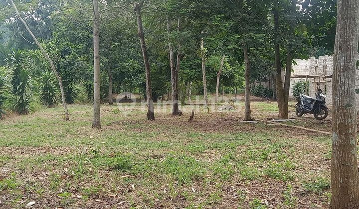 Tanah Kavling di Kawasan Wisata Cirata, Kab. Bandung Barat Tanah Kavling di Kawasan Wisata Cirata, Kab. Bandung Barat