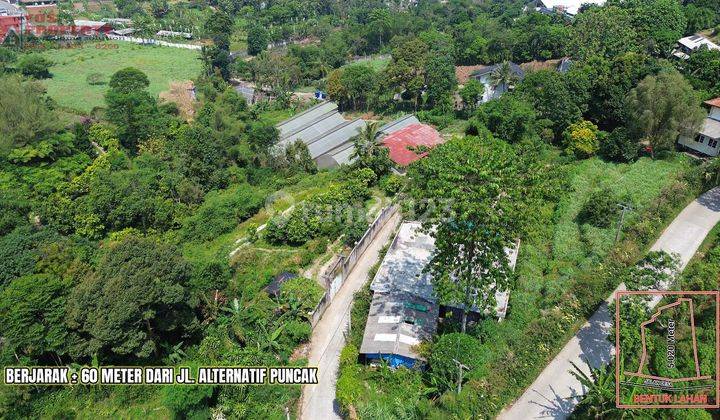 Dijual Cepat Villa Dengan Green House || Luas 5.020 || Pasir Angin || 5,2 Milyar || Kec. Megamendung 2