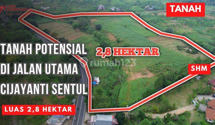 Tanah SHM Murah Di Jalan Raya Cijayanti || Luas 2,8 Hektar || Harga 1,7 Jta/Meter || Berjarak ± 20 Menit Dari Pintu TOLL 1