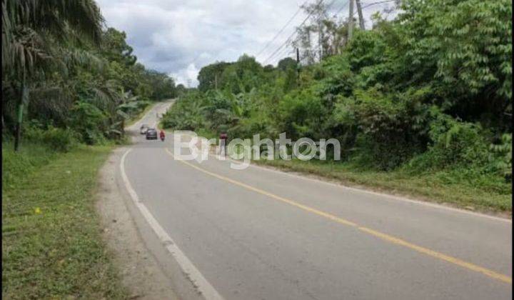 TANAH PINGGIR JALAN BESAR POROS SAMARINDA - BONTANG. SURAT SHM PERUMAHAN. Sangat cocok di bangun perumahan dan Ruko. Untuk investasi yang sangat menguntungkan. 2