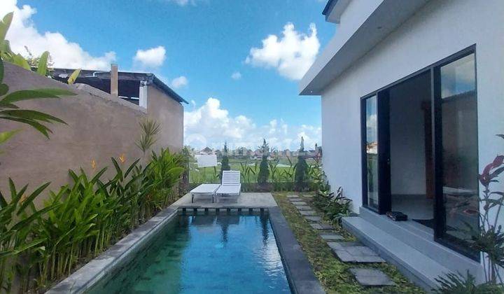 LEASEHOLD 5 THN VILLA VIEW SAWAH DI CEMAGI  (VLH29WU) 1