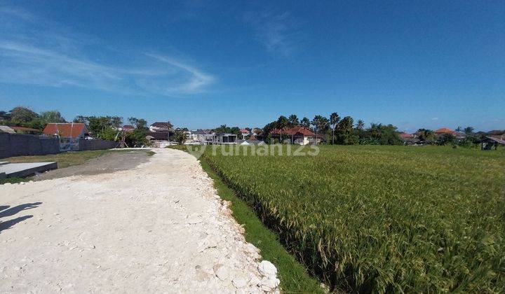 CALVING LAND IN DALUNG NEAR BABAKAN CANGGU 2